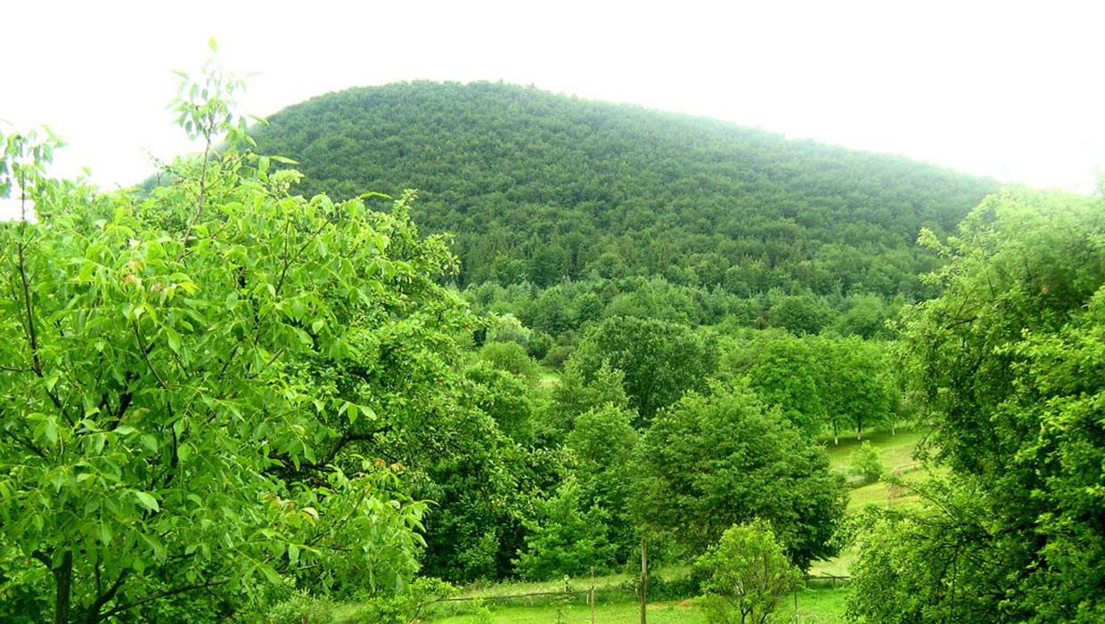 Похід на гору Клифа