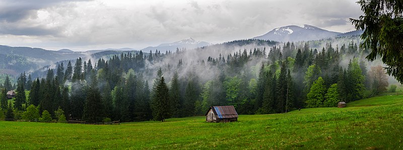НЕРУХОМІСТЬ КАРПАТИ