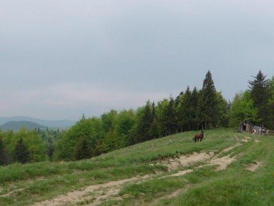 Село Баня-Березів — Косівський район